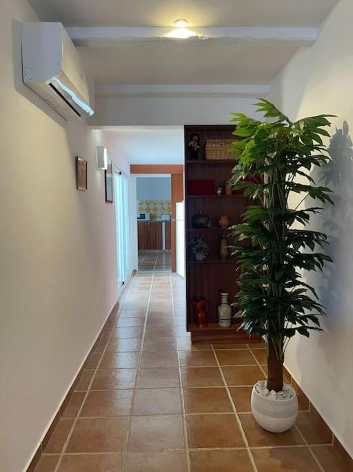 Holiday home Casa Da Oliveira